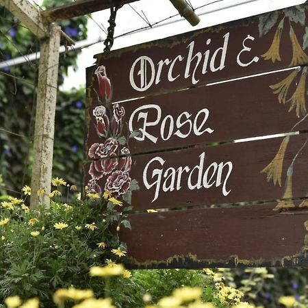 Mag Homestay At Crown Imperial Court, Brinchang Cameron Highlands Exterior foto